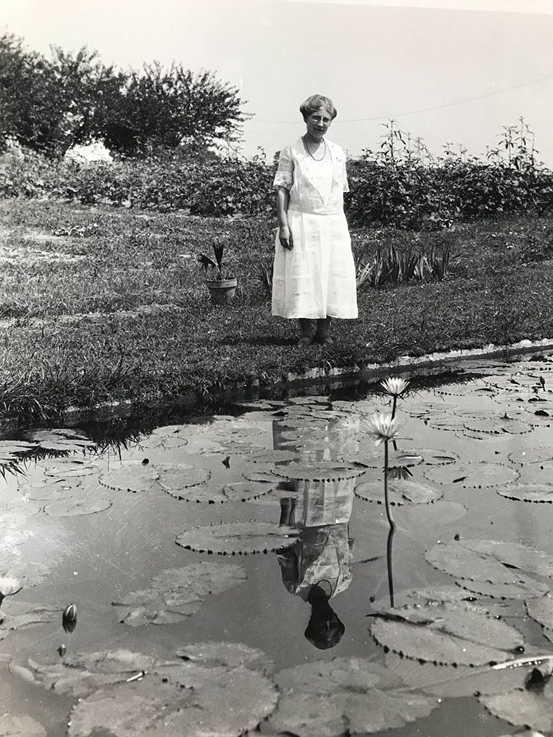 Helen Shaw Fowler is pictured surveying the ponds where her beloved aquatic plants were grown and propagated.